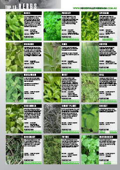 top15_herbs