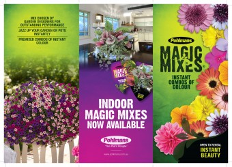 Magic-Mixes-Brochure-1