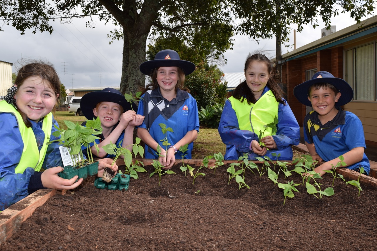 Students put healthy eating back on the table - Pohlmans The Plant ...