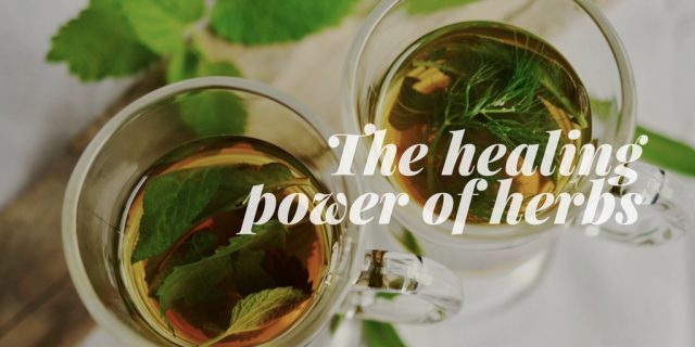 Healing power of herbs