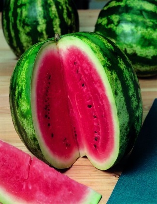 Watermelon red photo